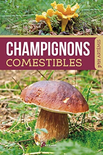 CHAMPIGNONS COMESTIBLES, de COLLECTIF | portada del libro