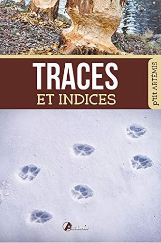 TRACES ET INDICES, de COLLECTIF | portada del libro