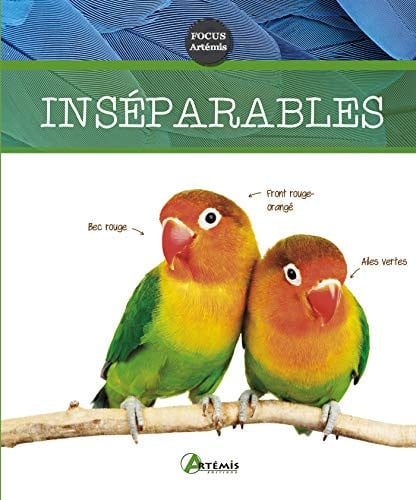 INSEPARABLES, de COLLECTIF | portada del libro