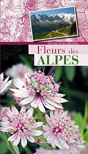 FLEURS DES ALPES, de COLLECTIF | portada del libro