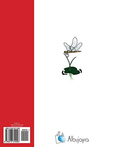 AL BIRKA A1 INICIACIO A L.ESCRIPTURA ARAB ALIF MADDA | portada del libro