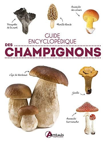 GUIDE ENCYCLOPEDIQUE DES CHAMPIGNONS, de POLESE JM | portada del libro