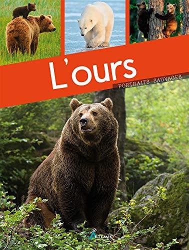 L'OURS, de DUPERAT M | portada del libro