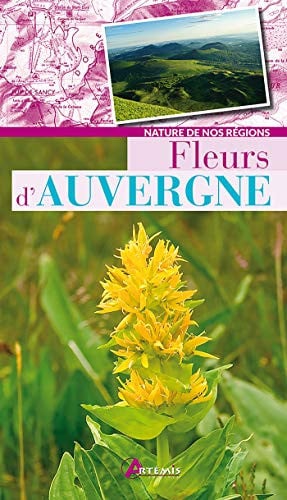 FLEURS D'AUVERGNE, de COLLECTIF | portada del libro