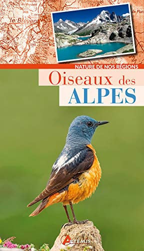 OISEAUX DES ALPES, de COLLECTIF | portada del libro
