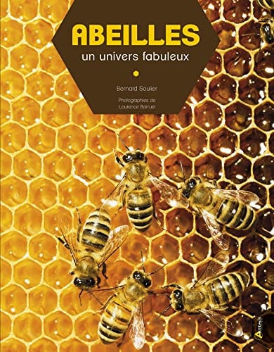 ABEILLES UN UNIVERS FABULEUX, de SOULIER B | portada del libro