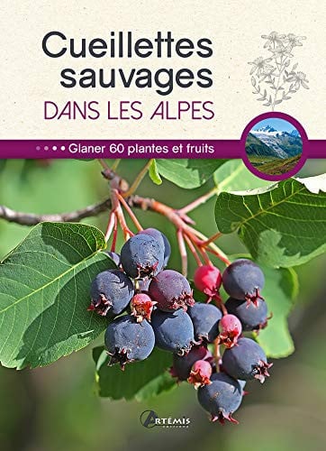 CUEILLETTES SAUVAGES DANS LES ALPES, de COLLECTIF | portada del libro