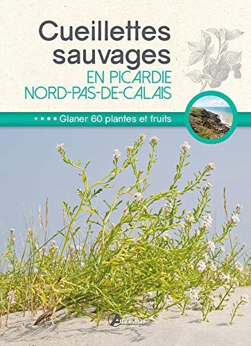 CUEILLETTES SAUVAGES EN PICARDIE-NORD-PAS-DE-CALAIS, de COLLECTIF | portada del libro