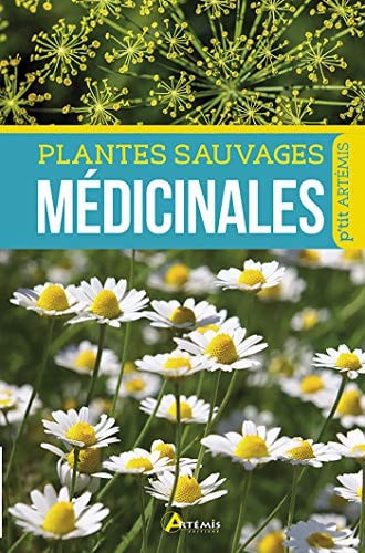 PLANTES SAUVAGES MEDICINALES, de COLLECTIF | portada del libro