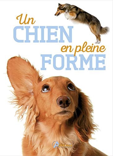 UN CHIEN EN PLEINE FORME, de BALZER#LOTH | portada del libro
