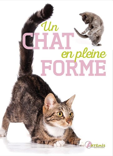 UN CHAT EN PLEINE FORME, de BALZER#LOTH | portada del libro