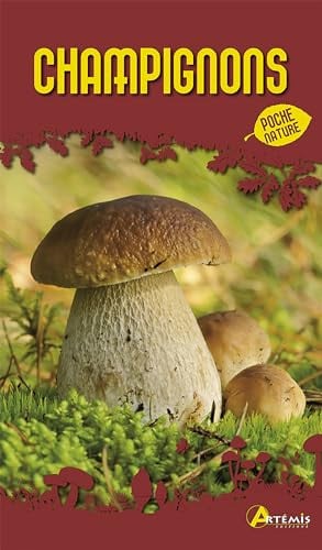 CHAMPIGNONS, de POLESE J-MARIE | portada del libro