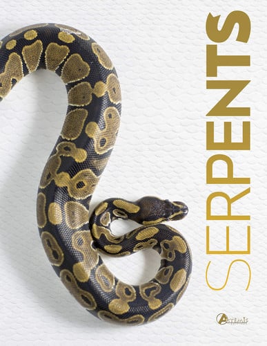 SERPENTS, de COLLECTIF | portada del libro