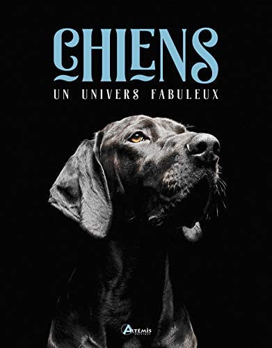 CHIENS UN UNIVERS FABULEUX, de COLLIN I | portada del libro