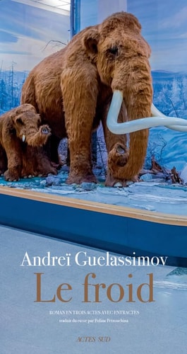 LE FROID, de Andrej Valerʹevič Gelasimov | portada del libro