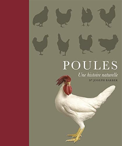 POULES UNE HISTOIRE NATURELLE, de BARBER J | portada del libro