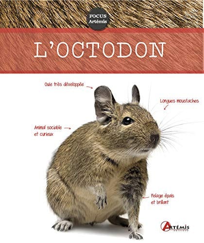 OCTODON, de COLLECTIF | portada del libro
