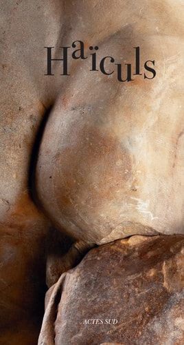 HAØCULS, de Rémi Sabouraud | portada del libro