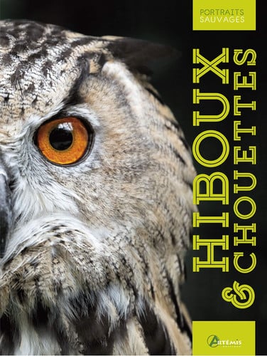 HIBOUX & CHOUETTES, de CUISIN M | portada del libro
