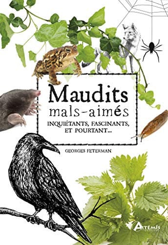 MAUDITS MAL-AIMES, de FETERMAN GEORGE | portada del libro