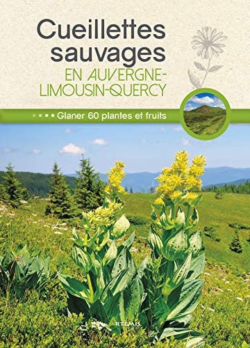CUEILLETTES SAUVAGES EN AUVERGNE-LIMOUSIN-QUERCY, de CHAVANNE PHILIP | portada del libro