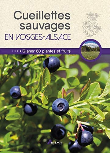CUEILLETTES SAUVAGES EN VOSGES-ALSACE, de CHAVANNE PHILIP | portada del libro