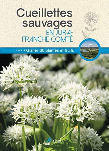 CUEILLETTES SAUVAGES EN JURA-FRANCHE-COMTE, de CHAVANNE PHILIP | portada del libro