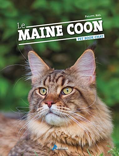 LE MAINE COON, de NOEL PHILIPPE | portada del libro