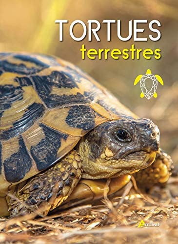 TORTUES TERRESTRES, de COLLECTIF | portada del libro