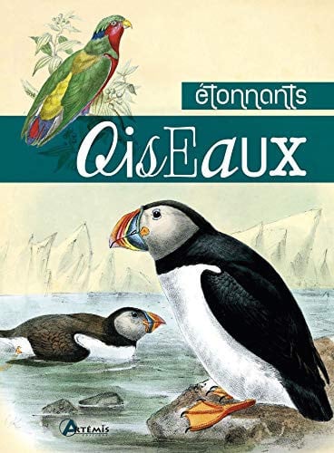 ETONNANTS OISEAUX, de COLLECTIF | portada del libro