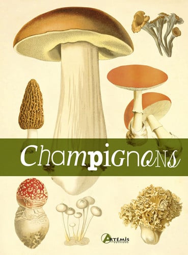 LE LIVRE DES CHAMPIGNONS, de COLLECTIF | portada del libro