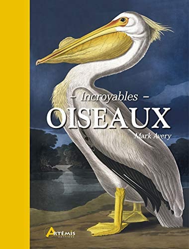 INCROYABLES OISEAUX, de AVERY MARK | portada del libro