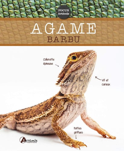 AGAME BARBU, de PREISER WERNER | portada del libro