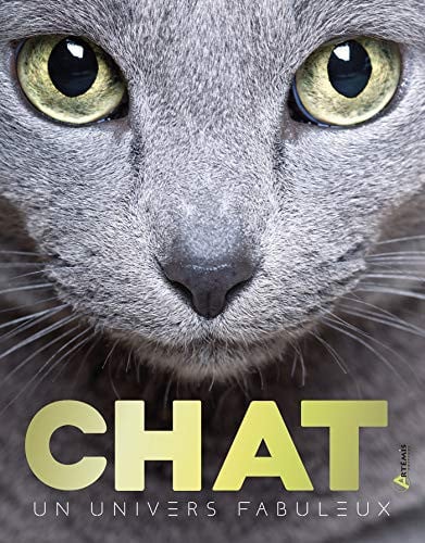 CHAT UN UNIVERS FABULEUX, de DAL'SECCO EMMAN | portada del libro