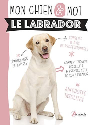 LE LABRADOR, de DAL'SECCO EMMAN | portada del libro