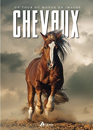CHEVAUX UN TOUR DU MONDE EN IMAGES, de COTTICA SUSANNA | portada del libro