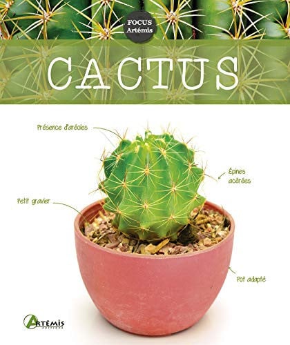 CACTUS, de COLLECTIF | portada del libro