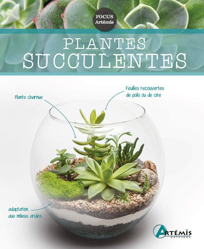 PLANTES SUCCULENTES, de COLLECTIF | portada del libro