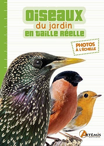 OISEAUX DU JARDIN EN TAILLE REELLE LES, de COLLECTIF | portada del libro
