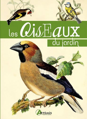 LES OISEAUX DU JARDIN, de COLLECTIF | portada del libro