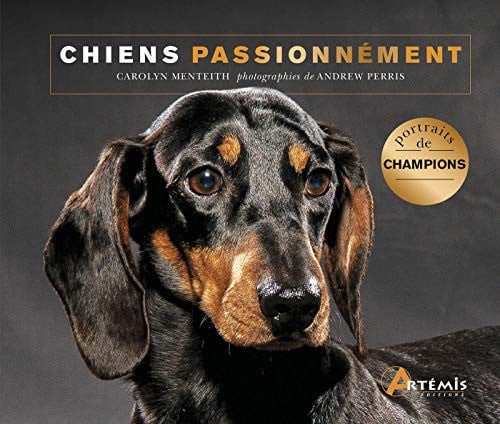 CHIENS PASSIONNEMENT, de PERRIS ANDREW | portada del libro