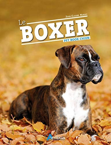 LE BOXER, de MARIET JEAN-CLA | portada del libro