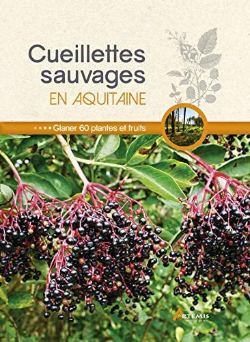 CUEILLETTES SAUVAGES EN AQUITAINE, de COLLECTIF | portada del libro