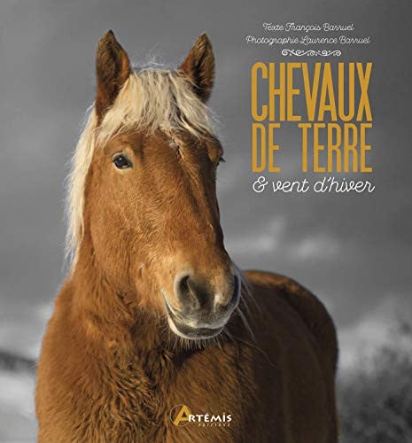 CHEVAUX DE TERRE ET VENT D'HIVER, de BARRUEL LAURENC | portada del libro