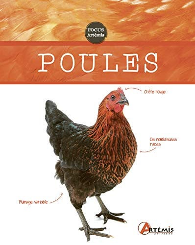 POULES, de COLLECTIF | portada del libro