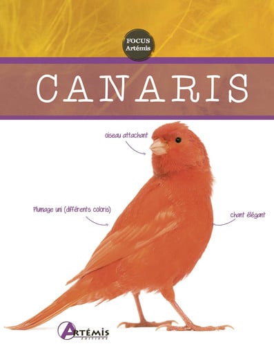 CANARIS, de HIERONIMUS H | portada del libro