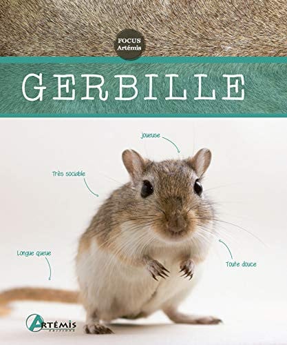GERBILLE, de WENDT MADLEN | portada del libro