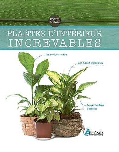 PLANTES D'INTERIEUR INCREVABLES, de COLLECTIF | portada del libro