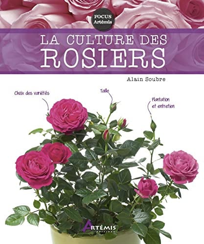 CULTURE DES ROSIERS LA, de SOUBRE ALAIN | portada del libro