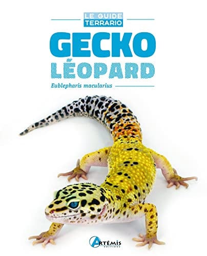 GECKO LEOPARD, de MERKER GEROLD | portada del libro